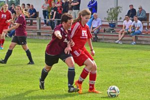 160604_sfbf-pfaffenheofen