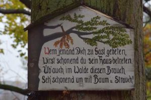 gast-im-wald-stadtpark