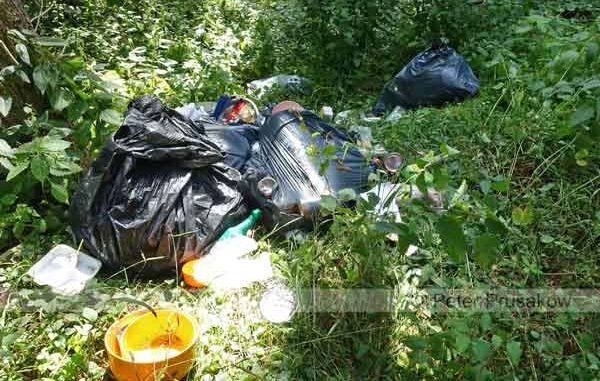 abfall-im-wald