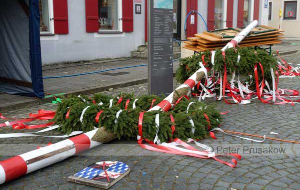 230501_maibaum-beschaedigt 01
