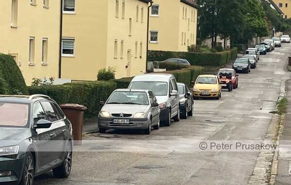 parken-nestlerstr